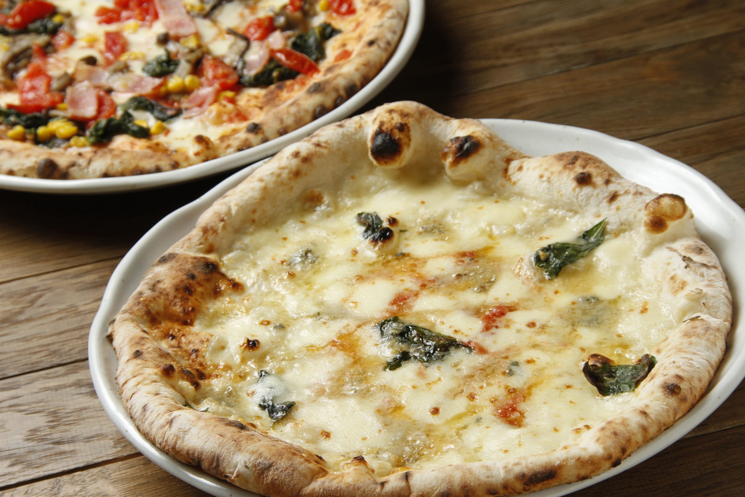 石窯ピッツァの店 ピッツェリアTUKA – 月刊しゅん テイクアウト特集